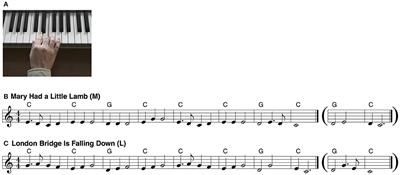Interaction between Perceived Action and Music Sequences in the Left Prefrontal Area